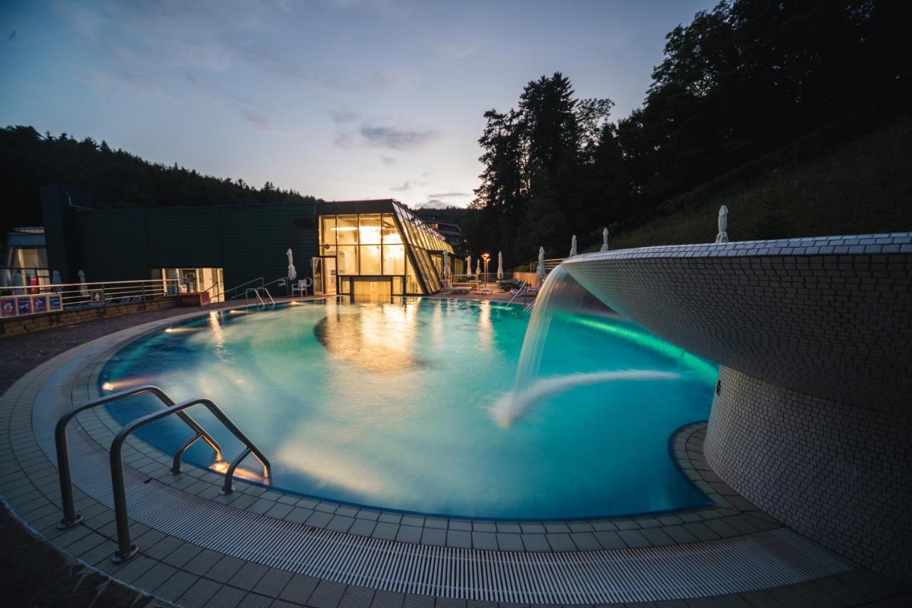 Depandance Vila Higiea - Terme Добрна Экстерьер фото